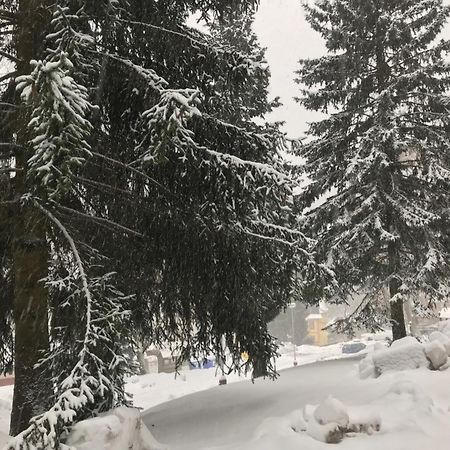 Julie 1 Apartamento Svoboda nad Úpou Exterior foto